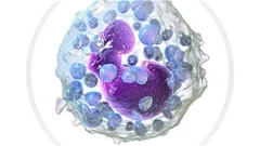 General Biology II: The World of the Cell